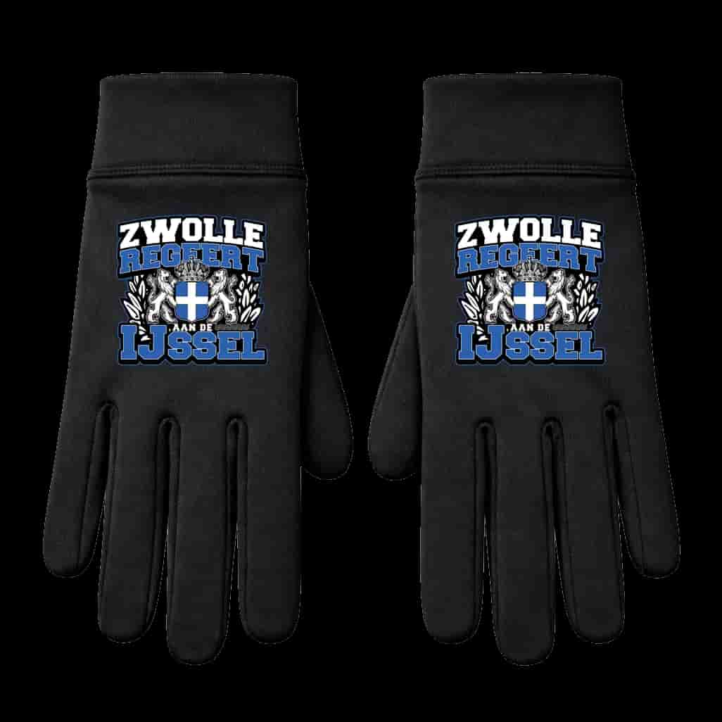 Zwolle regeert aan de IJssel Handschoenen