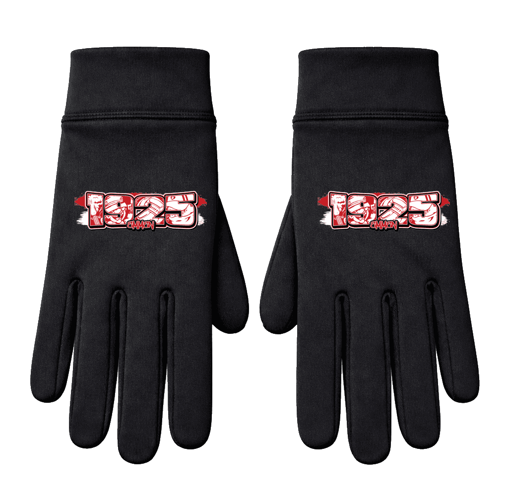 1925 Emmen Handschoenen