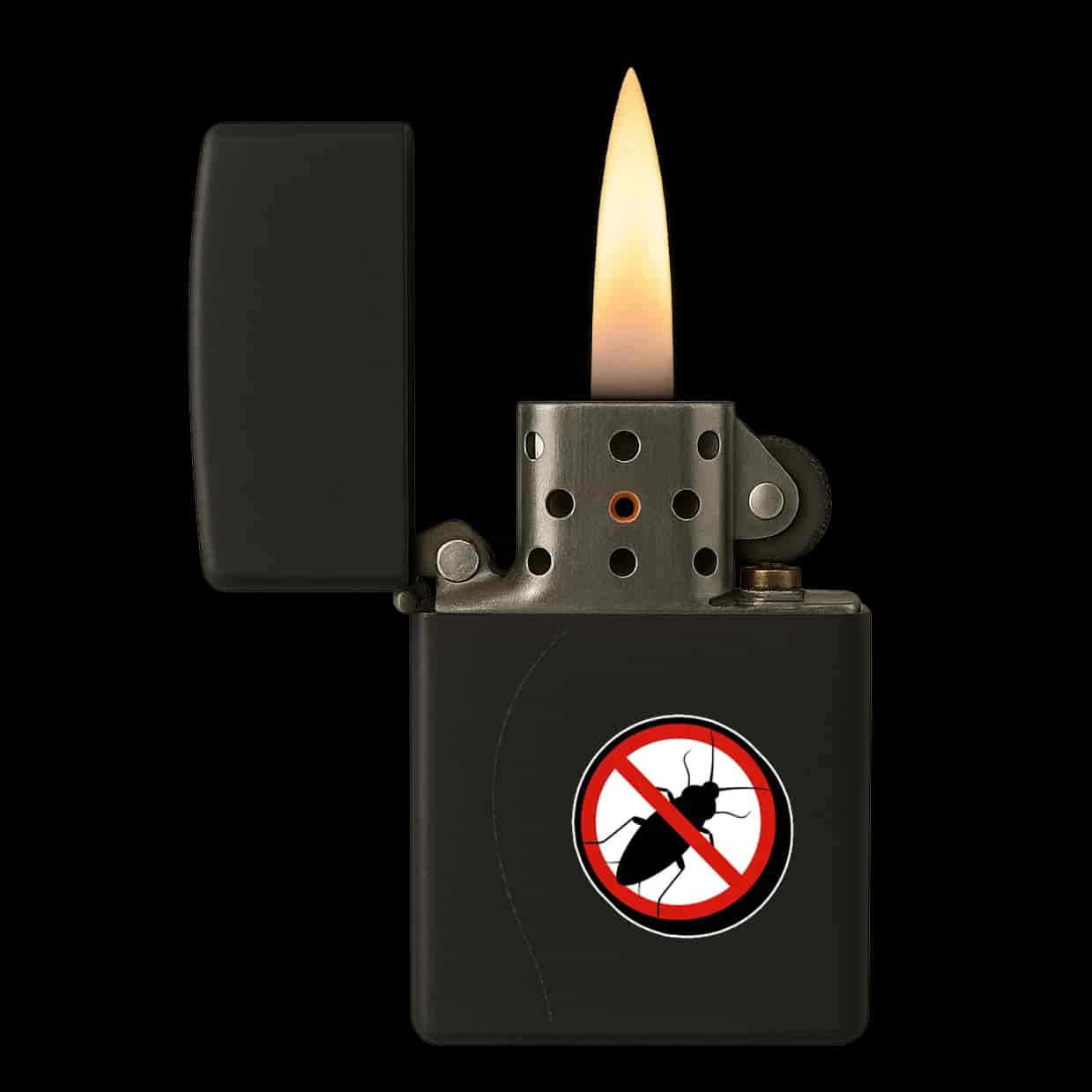 Anti Kakkerlak Aansteker