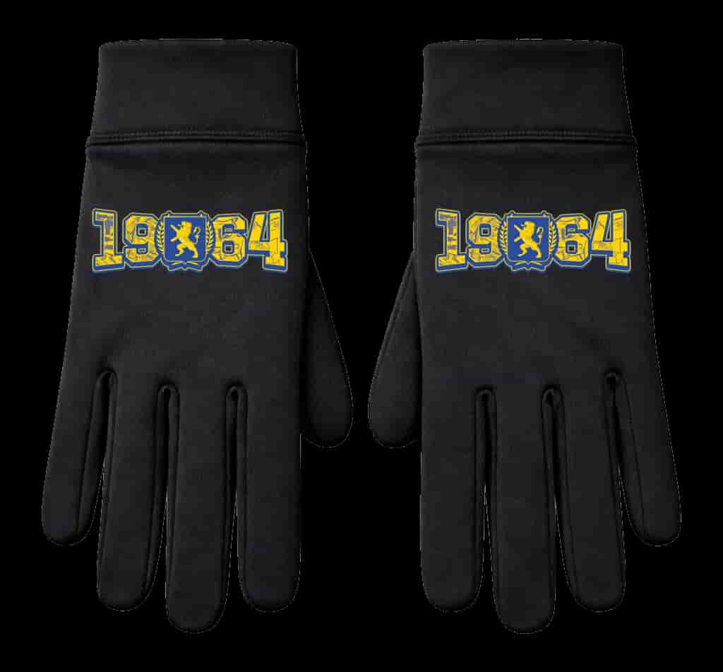 1964 Leeuwarden wapen Handschoenen