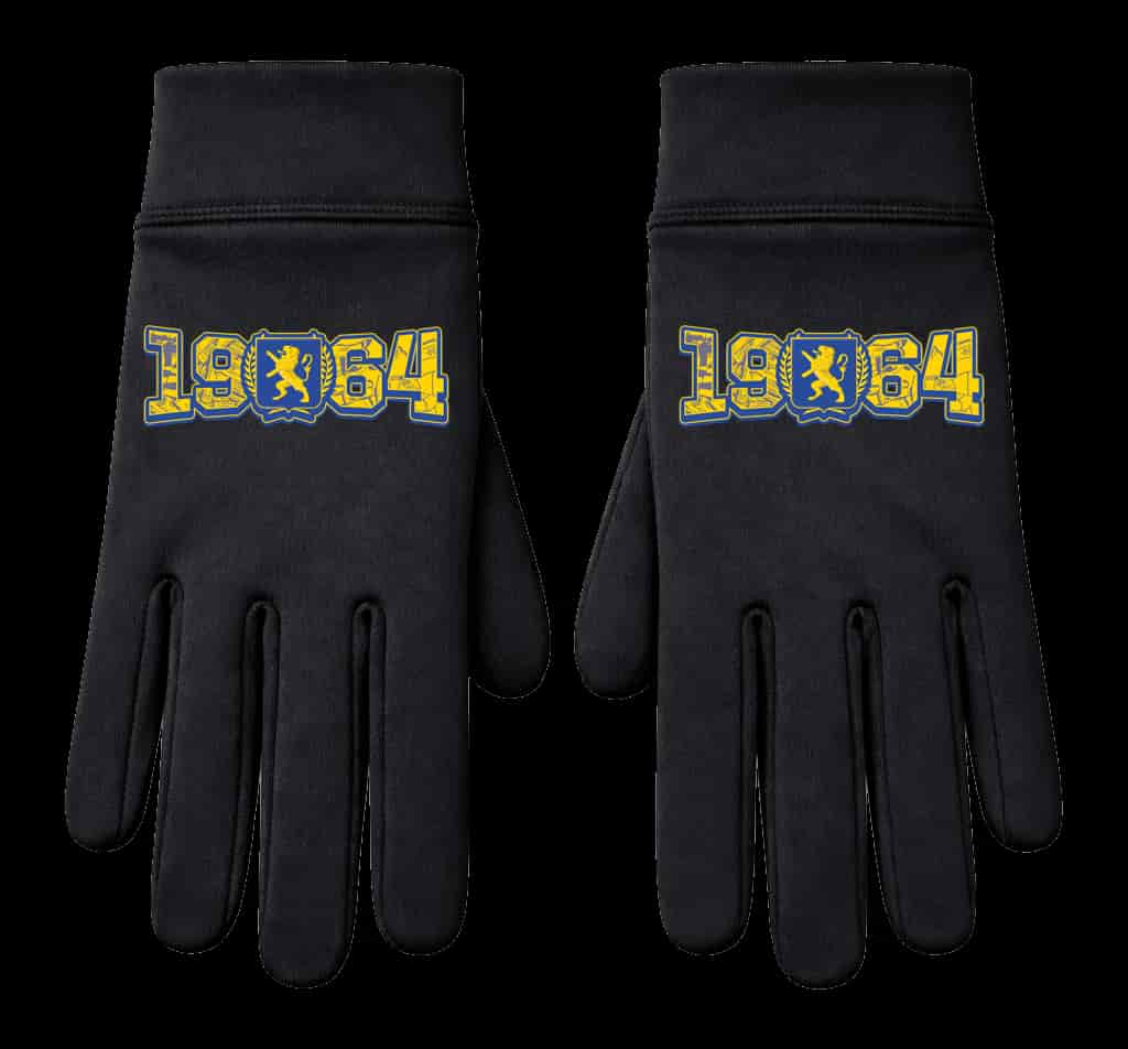 1964 Leeuwarden wapen Handschoenen