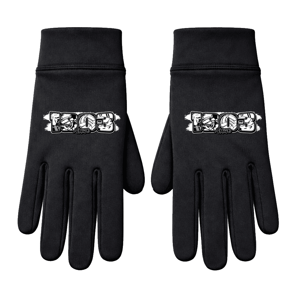1903 Almelo Handschoenen