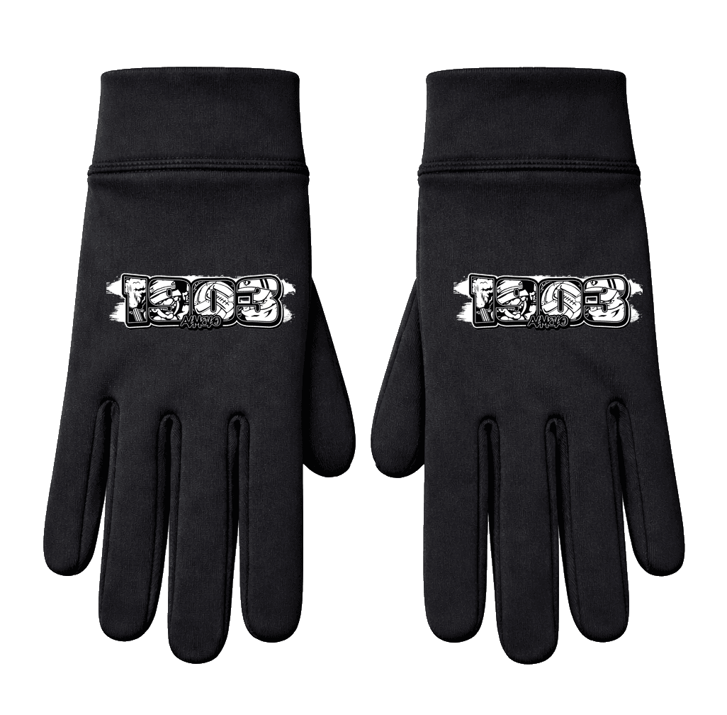 1903 Almelo Handschoenen