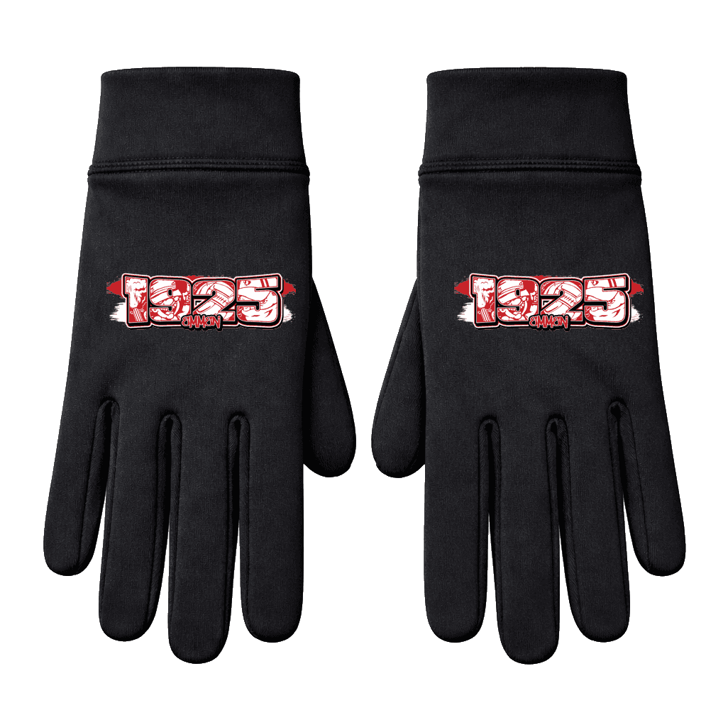 1925 Emmen Handschoenen