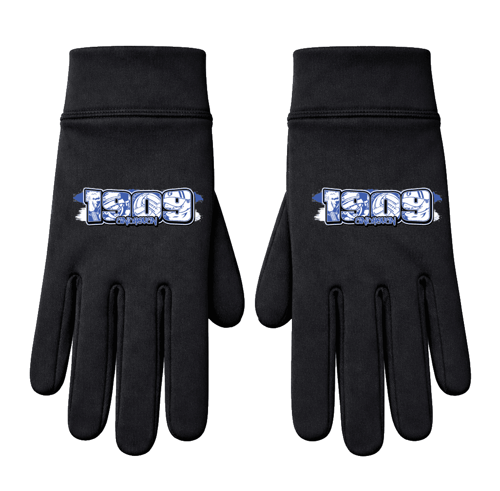 1909 Eindhoven Handschoenen