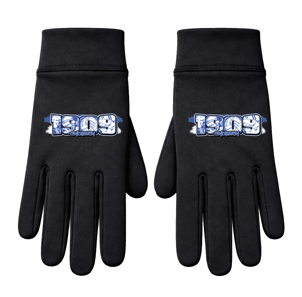 1909 Eindhoven Handschoenen
