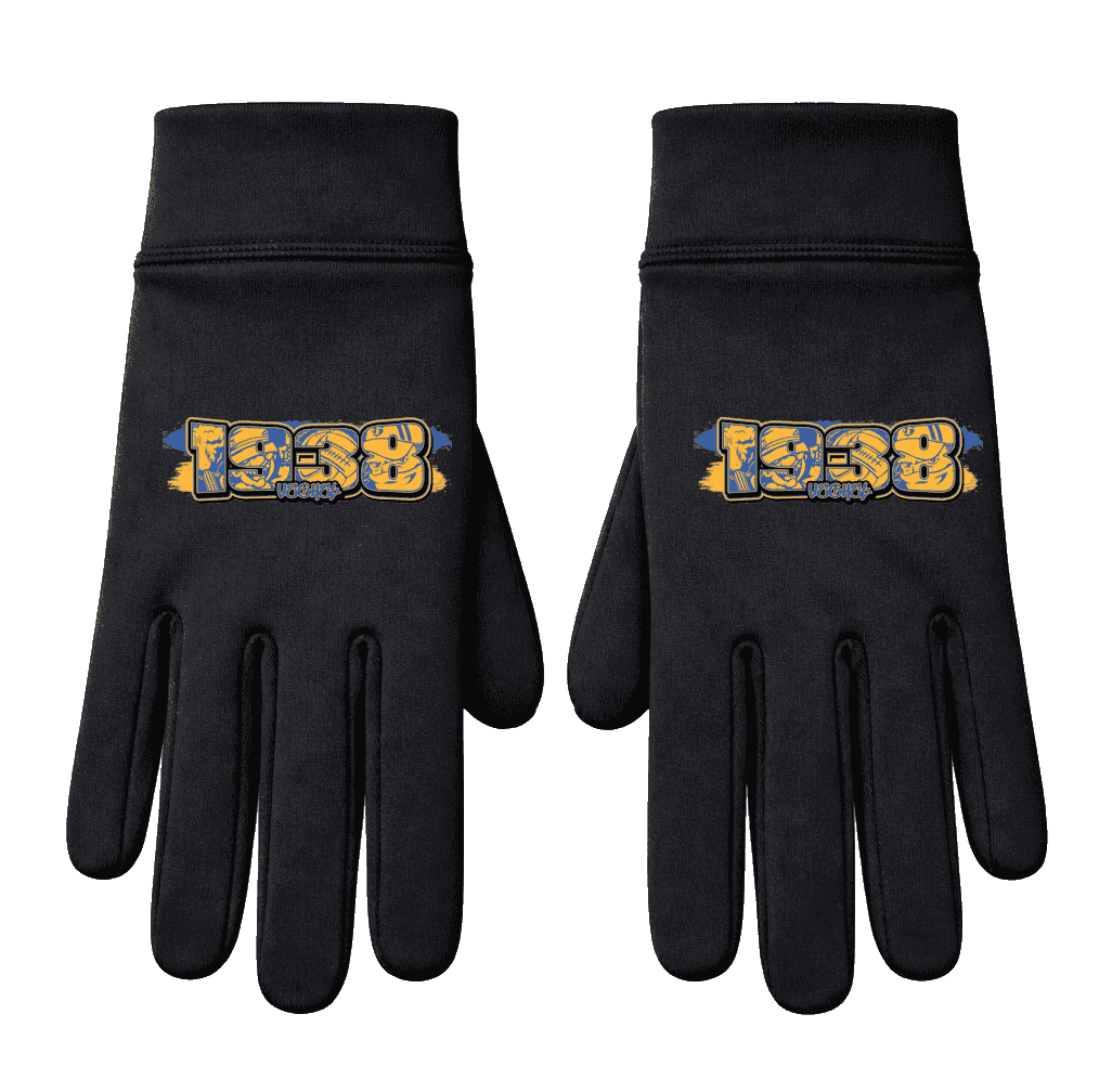1938 Veghel Handschoenen