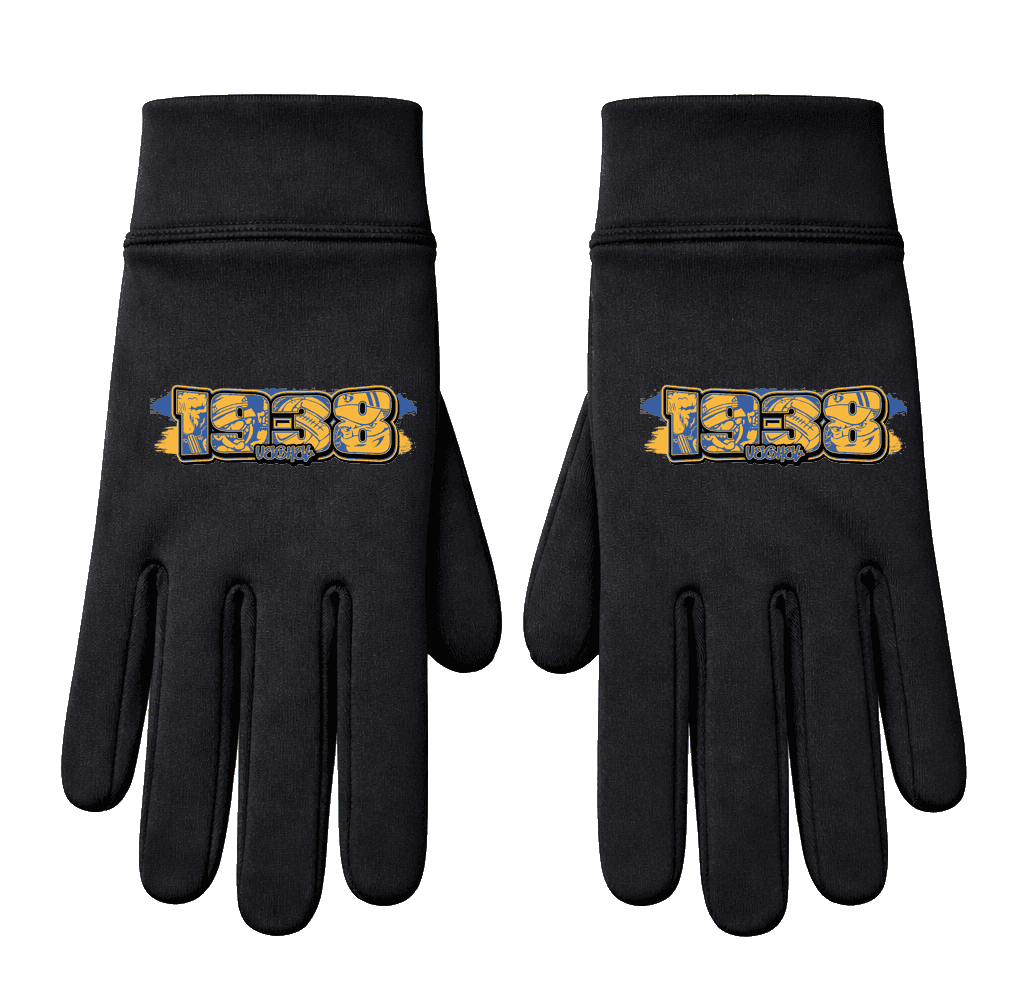 1938 Veghel Handschoenen