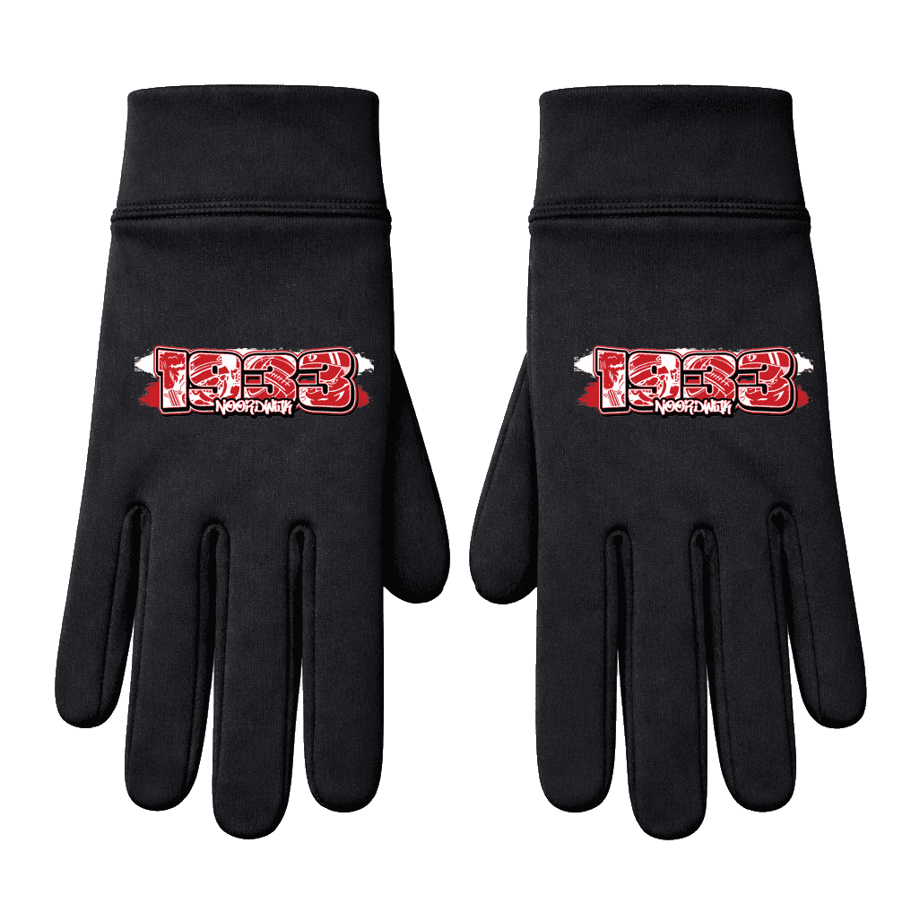 1933 Noordwijk Handschoenen