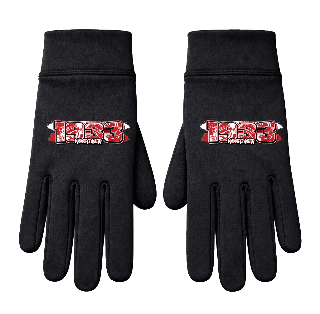 1933 Noordwijk Handschoenen