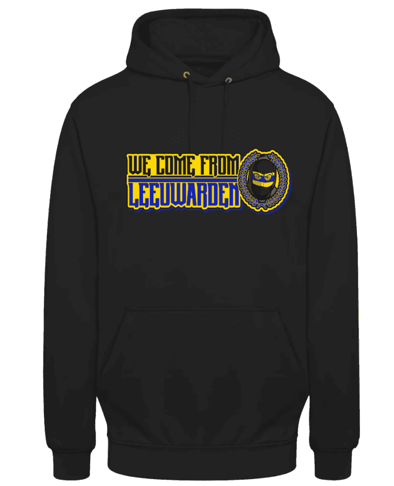 We come from Leeuwarden Hoodie