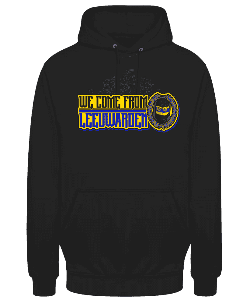 We come from Leeuwarden Hoodie