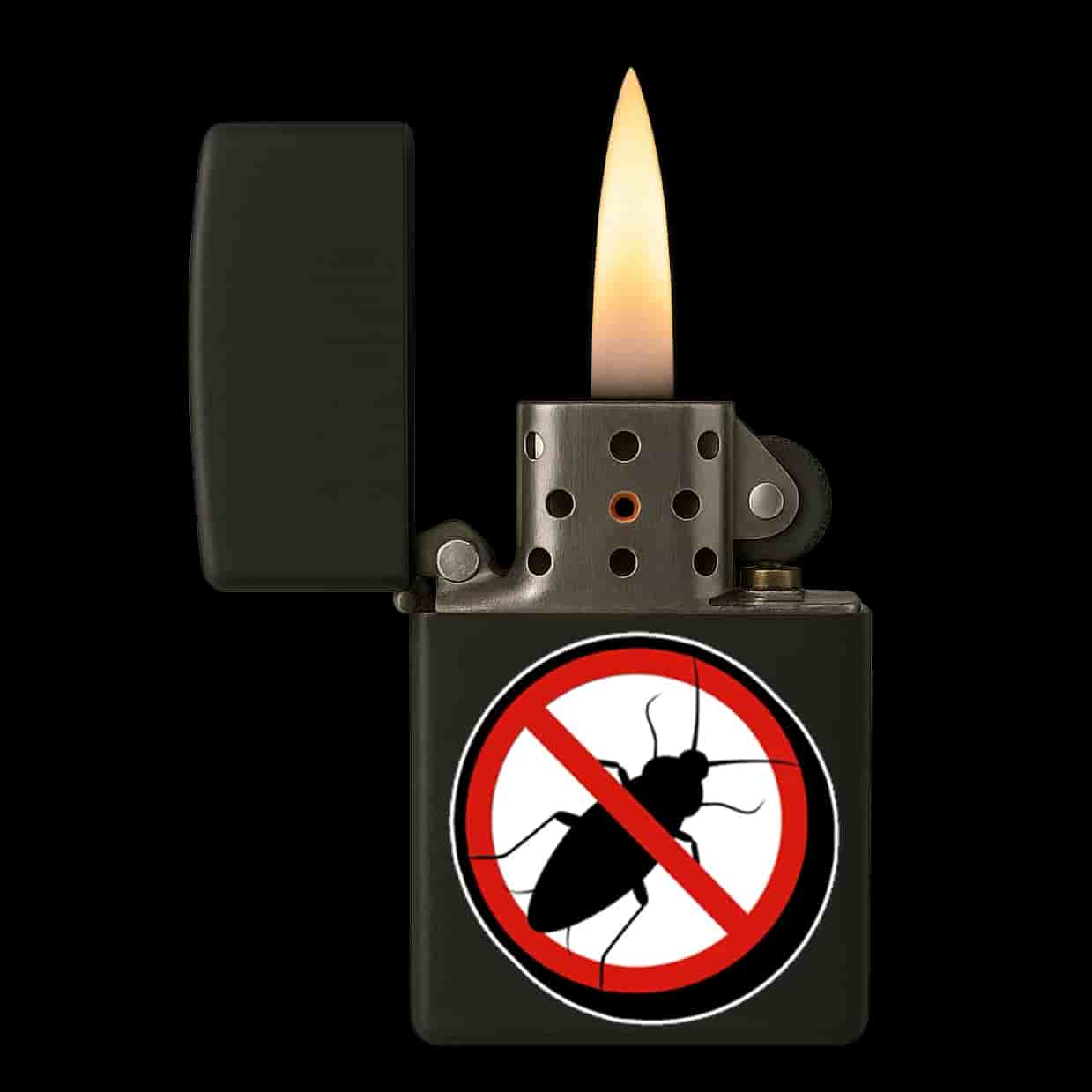 Anti Kakkerlak Aansteker