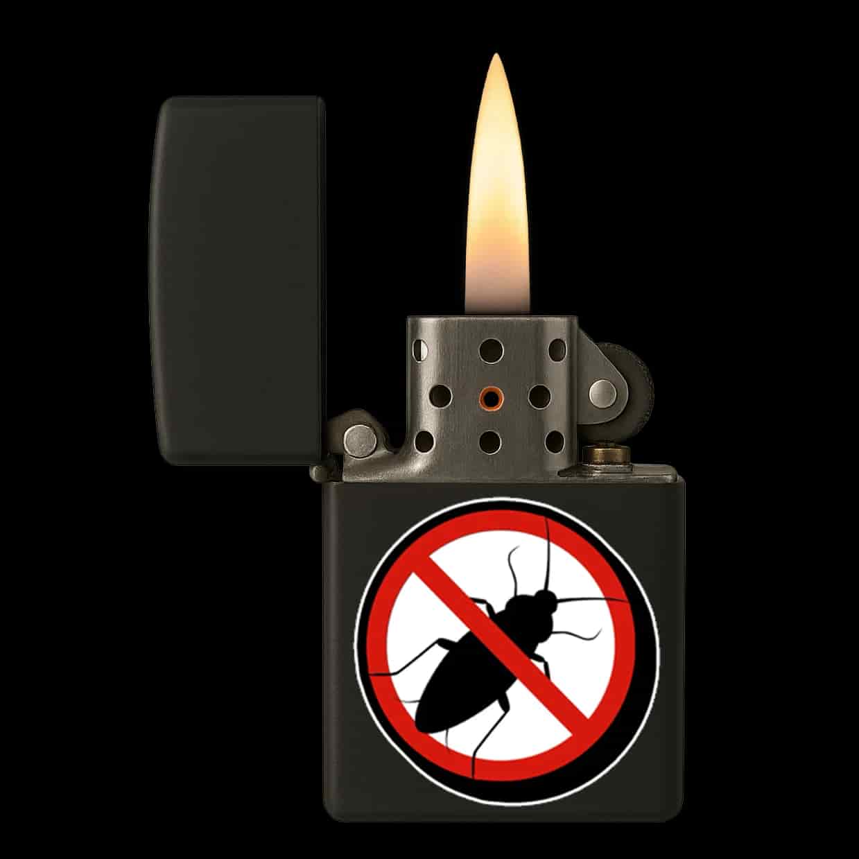 Anti Kakkerlak Aansteker